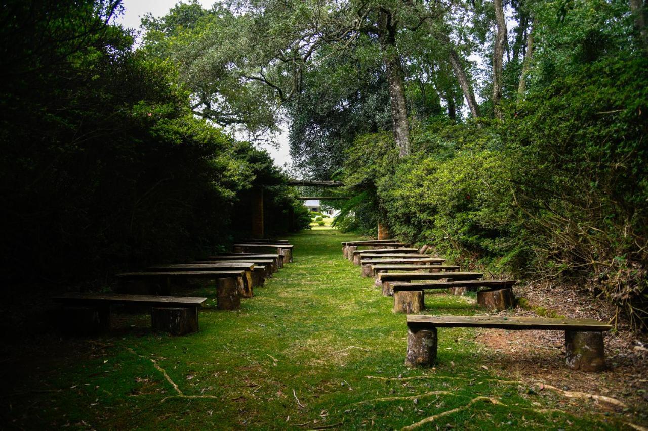 فيلا The Knoll Historic Guest Farm هيلتون المظهر الخارجي الصورة