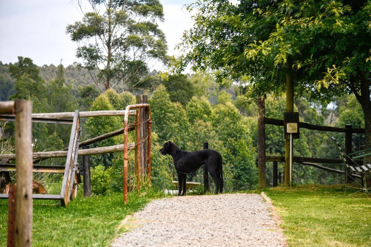 فيلا The Knoll Historic Guest Farm هيلتون المظهر الخارجي الصورة