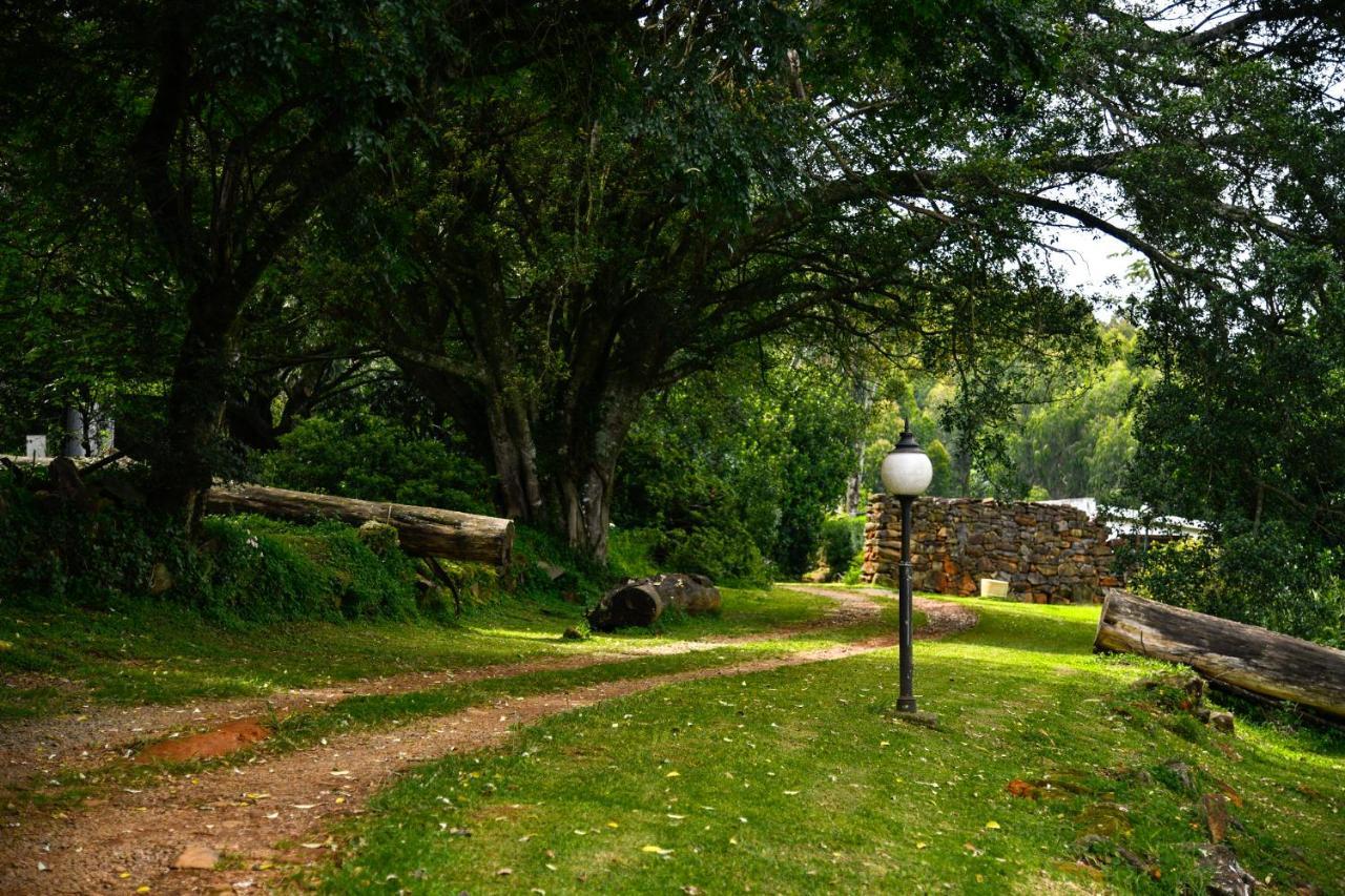فيلا The Knoll Historic Guest Farm هيلتون المظهر الخارجي الصورة