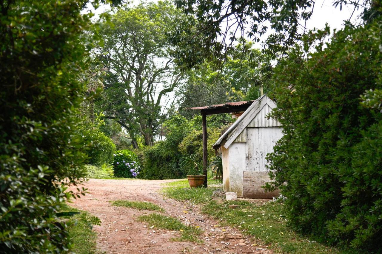فيلا The Knoll Historic Guest Farm هيلتون المظهر الخارجي الصورة