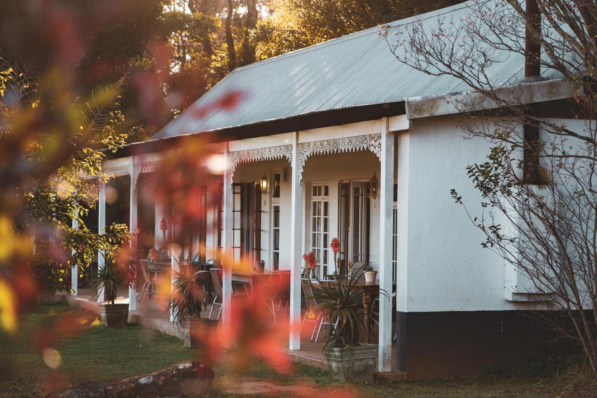 فيلا The Knoll Historic Guest Farm هيلتون المظهر الخارجي الصورة